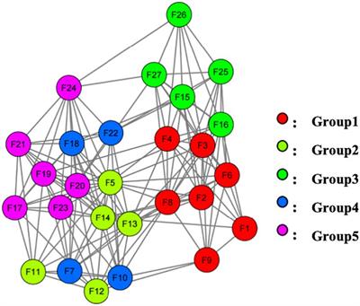 Fear of disease in patients with epilepsy – a network analysis